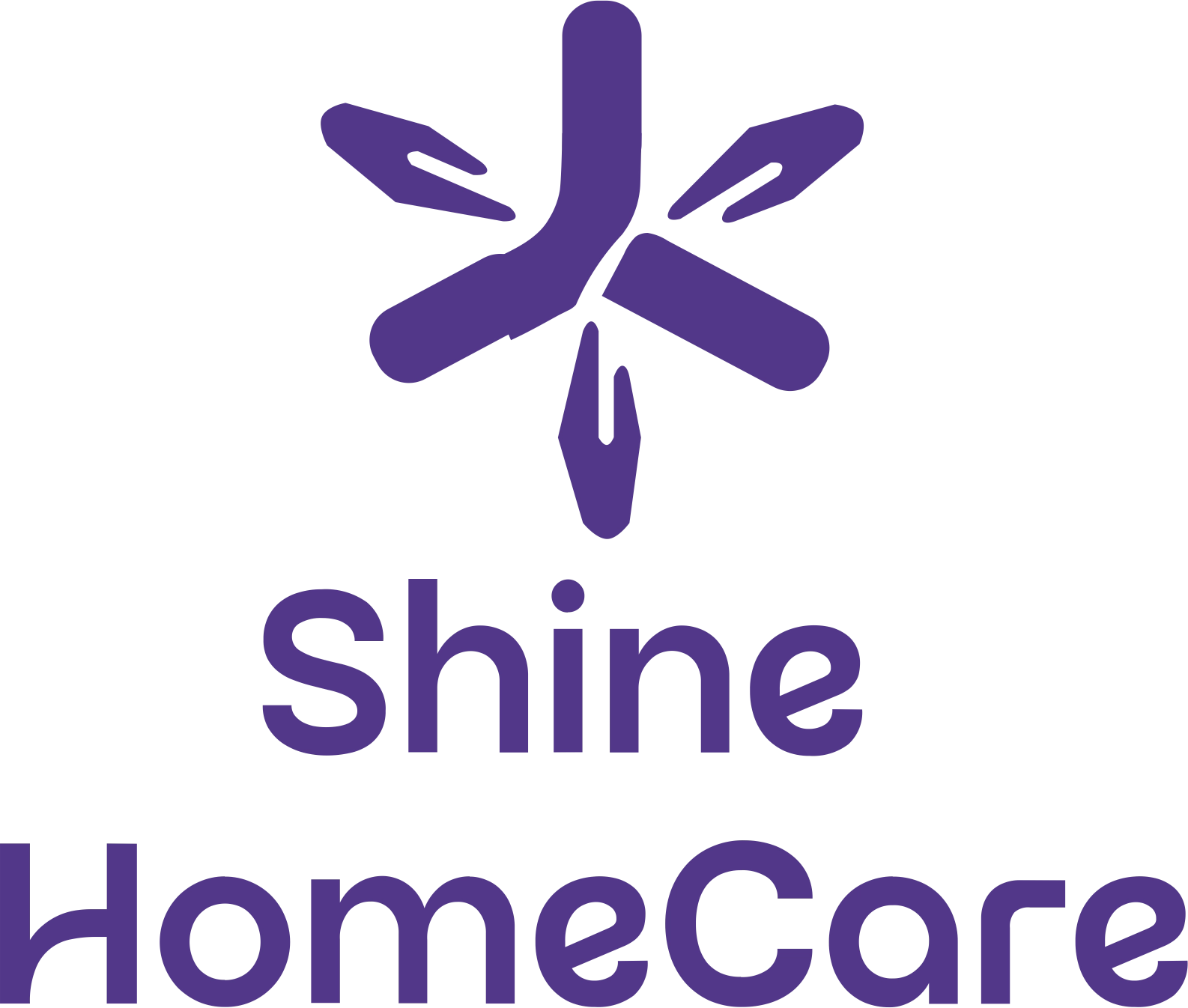 Shine Home Care png Logo